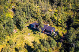 a house surrounded by trees