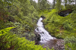 one of the watefalls on our land