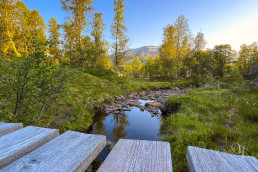 a wooden bridge over a stream