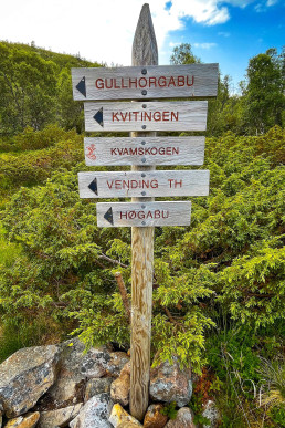 a sign post with different directions