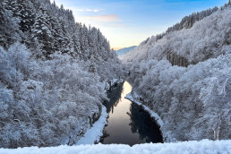 a river in a snowy forest