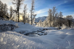 a snowy landscape with a stream and trees