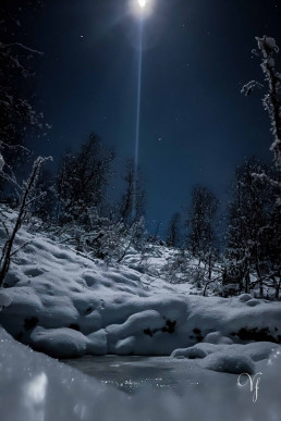 a snow covered hill with trees and a light in the sky