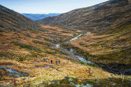 a group of people walking on a mountain